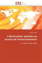 Pascale Cayrol, Cayrol-P - L observation spatiale au service
