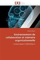 Adeline Leblanc, Leblanc-a - Environnement de collaboration et