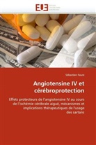 Sébastien Faure, Faure-s - Angiotensine iv et cerebroprotectio