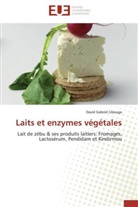 David G. Libouga, David Gabriel Libouga, Libouga-D - Laits et enzymes vegetales