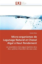Hassen Allaya, Allaya-H - Micro organismes de lagunage
