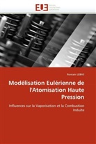 Romain Lebas, Lebas-R - Modelisation eulerienne de l