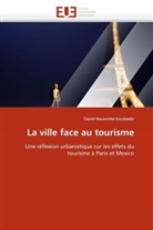 David Navarrete Escobedo, Navarrete Escobedo-D - La ville face au tourisme