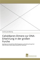 Caroline Julia Blecking - Calix[4]aren-Dimere zur DNA-Erkennung in der großen Furche