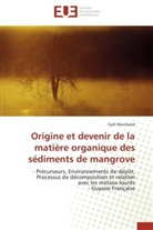 Cyril Marchand, Marchand-c - Origine et devenir de la matiere