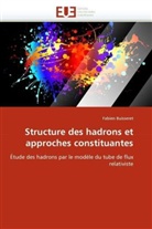 Fabien Buisseret, Buisseret-F - Structure des hadrons et