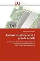Sébastien Dhellemmes, Dhellemmes-S - Epitaxie de phosphures a grande