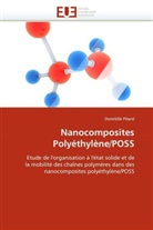 Domitille Pitard, Pitard-D - Nanocomposites polyethylene poss