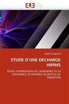 Amélie Guillaumot, Guillaumot-A - Etude d une decharge hipims