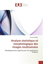 Arnaud Garcia, Garcia-a - Analyse statistique et
