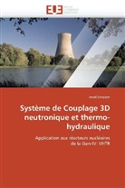 Imed Limaiem, Limaiem-I - Systeme de couplage 3d