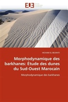 Hicham El Belrhiti, HICHAM EL BELRHITI, El Belrhiti-H - Morphodynamique des barkhanes: