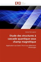 Nicolas Péré-Laperne, Pere-Laperne-N - Etude des structures a cascade