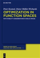 Pete Kosmol, Peter Kosmol, Dieter Müller-Wichards - Optimization in Function Spaces with Stability Considerations in Orlicz Spaces
