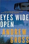 A Gross, Andrew Gross - Eyes Wide Open