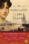 Sally Gunning, Sally Cabot Gunning - The Rebellion of Jane Clarke