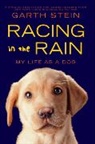 Garth Stein, Stein Garth - Racing in the Rain