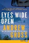 Andrew Gross, Andrew Gross - Eyes Wide Open