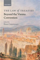 Enzo Cannizzaro, Enzo Cannizzaro, Enzo (Professor of international Law Cannizzaro, Cannizzaro Enzo - The Law of Treaties Beyond the Vienna Convention