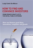 Luigi Carlo De Micco - How to Find and Convince Investors