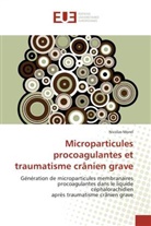 Nicolas Morel, Morel-n - Microparticules procoagulantes et