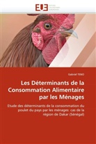 Gabriel TENO, Teno-G - Les determinants de la