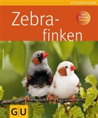 Giel, Nieman, Rainer Niemann - Zebrafinken