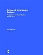 David Beach, Beach David - Advanced Schenkerian Analysis