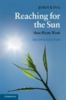 John King, King John - Reaching for the Sun