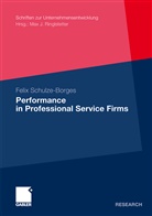 Felix Schulze-Borges - Performance in Professional Service Firms