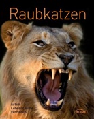 Hans W. Kothe - Raubkatzen