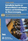 Frieder Haakh - Hydraulische Aspekte zur Wirtschaftlichkeit von Pumpen, Turbinen und Rohrleitungen in der Wasserversorgung
