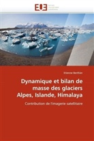 Etienne Berthier, Berthier-e - Dynamique et bilan de masse des