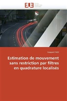 Gaspard Petit, Petit-G - Estimation de mouvement sans