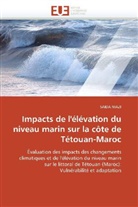 Saida Niazi, Niazi-S - Impacts de l elevation du niveau