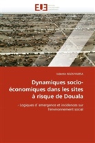 Valentin Ngouyamsa, Ngouyamsa-V - Dynamiques socio economiques dans