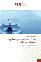 Jérôme DESCHAMP, Deschamp-J - Hydrodynamique d une aile oscillant