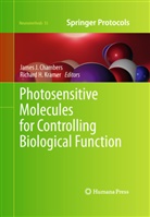 James J. Chambers, H Kramer, H Kramer, Jame J Chambers, James J Chambers, Richard H. Kramer - Photosensitive Molecules for Controlling Biological Function