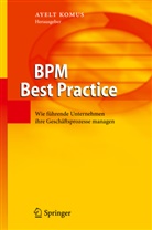 Ayel Komus, Ayelt Komus - BPM Best Practice