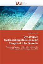 Emmanuel Cordier, Cordier-e - Dynamique hydrosedimentaire en