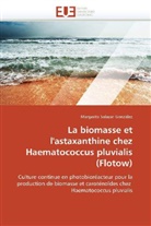 Margarita Salazar González, Salazar Gonzalez-M - La biomasse et l astaxanthine
