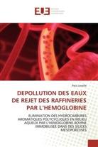 Paco Laveille, Laveille-P - Depollution des eaux de rejet des