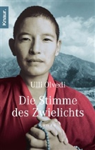 Ulli Olvedi - Die Stimme des Zwielichts