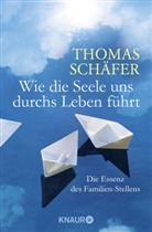 Thomas Schäfer - Wie die Seele uns durchs Leben führt