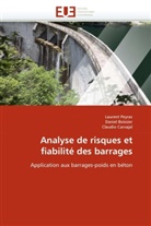 Danie Boissier, Daniel Boissier, Claudio Carvajal, Collectif, Lauren Peyras, Laurent Peyras - Analyse de risques et fiabilite