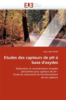 Quoc Nghi Pham, Pham-q - Etudes des capteurs de ph a base
