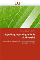 Rodolpho Zahluth Bastos, Zahluth Bastos-R - Geopolitique juridique de la
