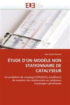 Jean-David Hoernel, Hoernel-J - Etude d un modele non
