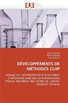 Collectif, Kare GAUDIN, Karen Gaudin, Pascal Millet, Vincen VIAUD, Vincent Viaud - Developpements de methodes clhp