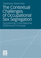 Stephanie Steinmetz - The Contextual Challenges of Occupational Sex Segregation